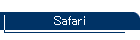 Safari